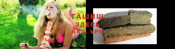 apvp Белокуриха