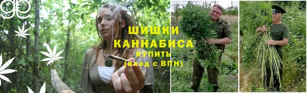винт Белоозёрский