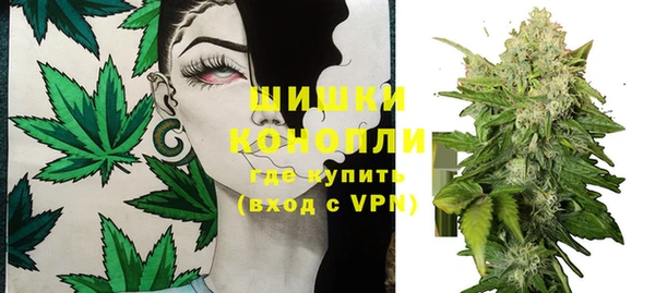 apvp Белокуриха