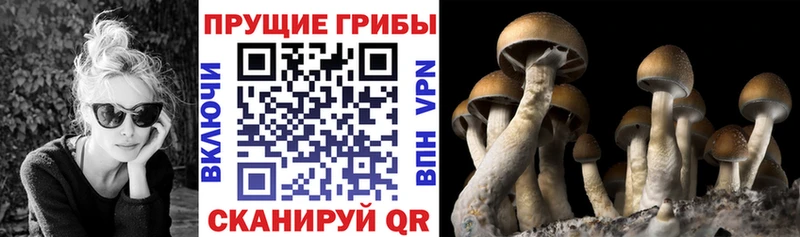 Псилоцибиновые грибы мухоморы хочу блэк спрут маркетплейс Железноводск